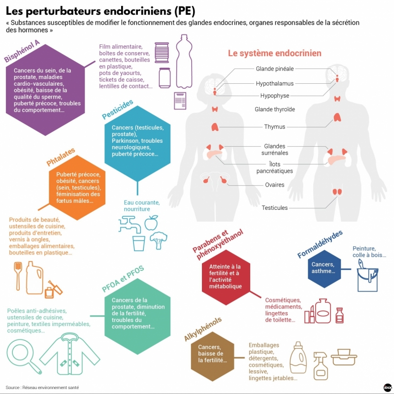 principaux perturbateurs endocriniens