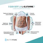 Glutamine, bonne pour les intestins ?