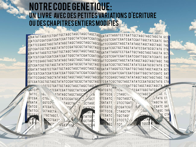 tolérance aux glucide et génétique