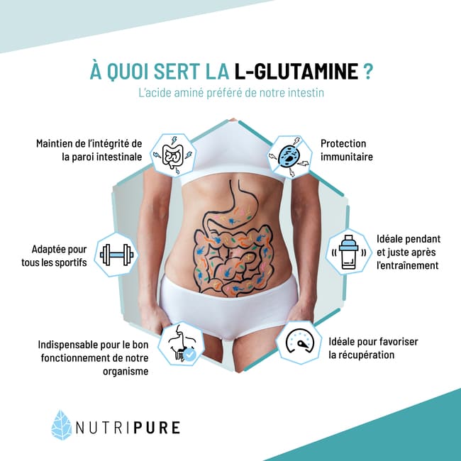 Glutamine, bonne pour les intestins ?