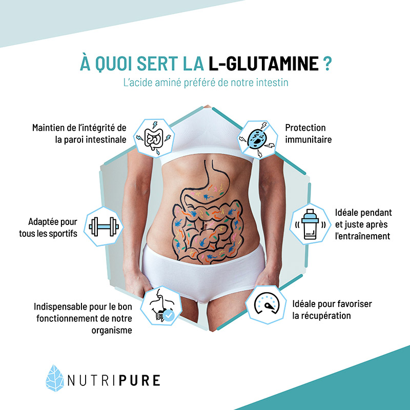 Glutamine et digestion