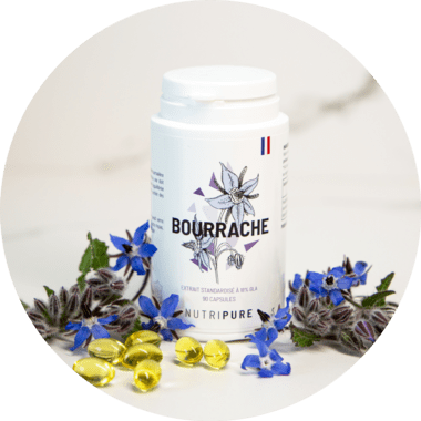 Huile de bourrache bienfaits
