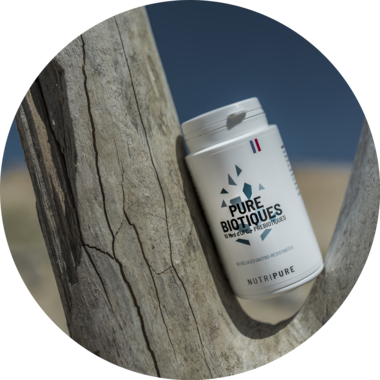 Probiotique flore intestinale