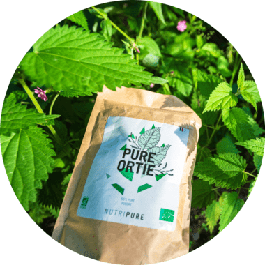 Poudre d'ortie Bio issue des feuilles pour les articulations