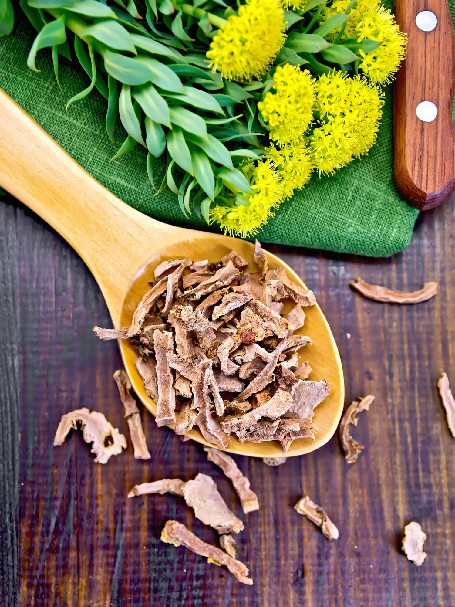 Rhodiola bianfaits