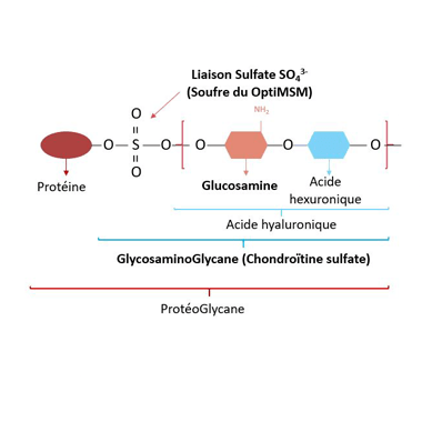 Arthropure