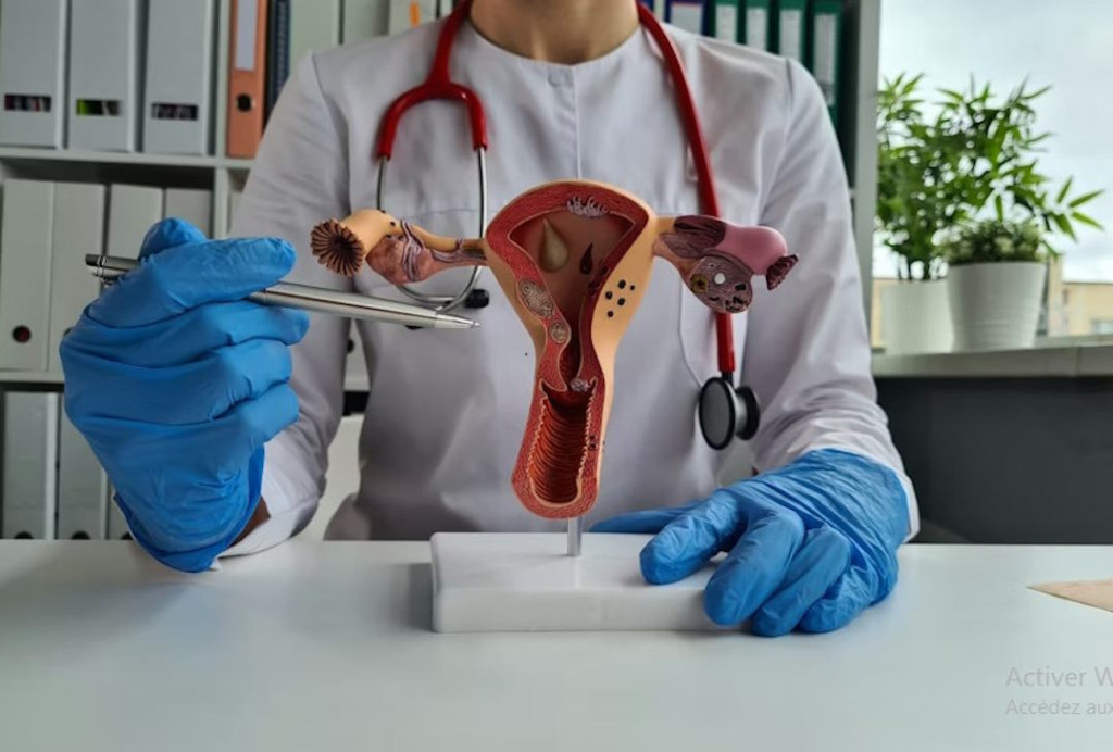 Saignement d’implantation règles ou début de grossesse — free download