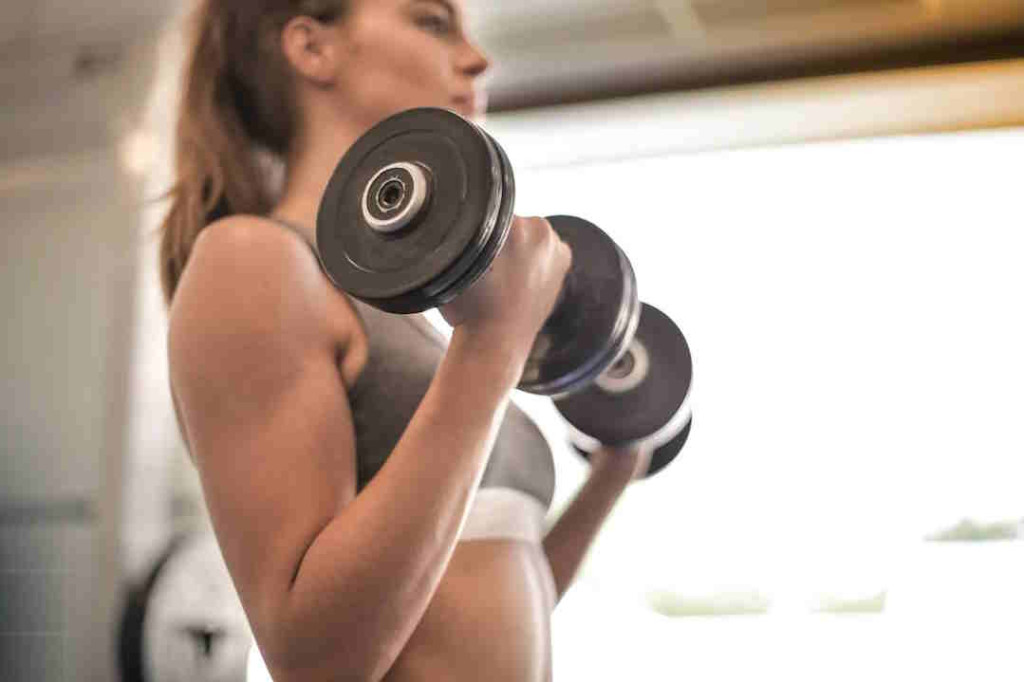 L-carnitine : dangers, effets secondaires et prcautions
