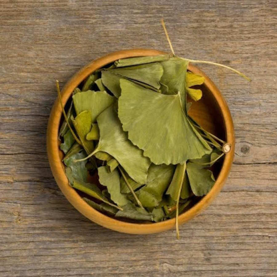 Ginkgo biloba 4 bienfaits essentiels pour la santé — free download