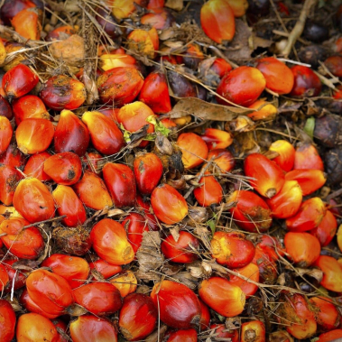 Est-ce que l'huile de palme est dangereuse pour la santé ?